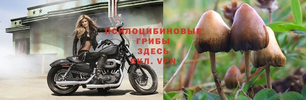 индика Абдулино