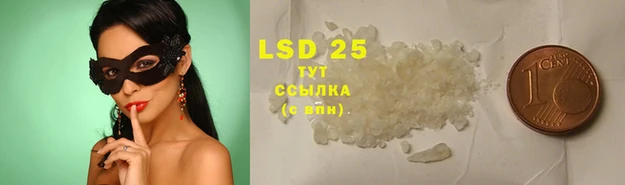 прущие крисы Абаза