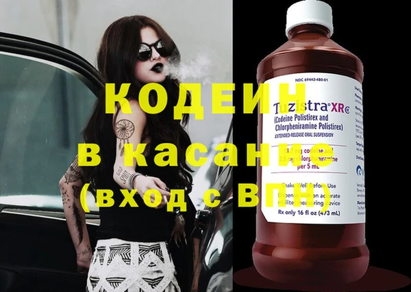 прущие крисы Абаза