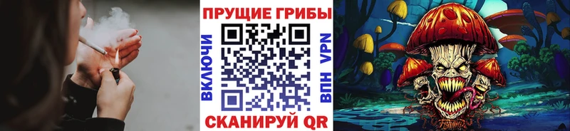 Псилоцибиновые грибы ЛСД Аксай