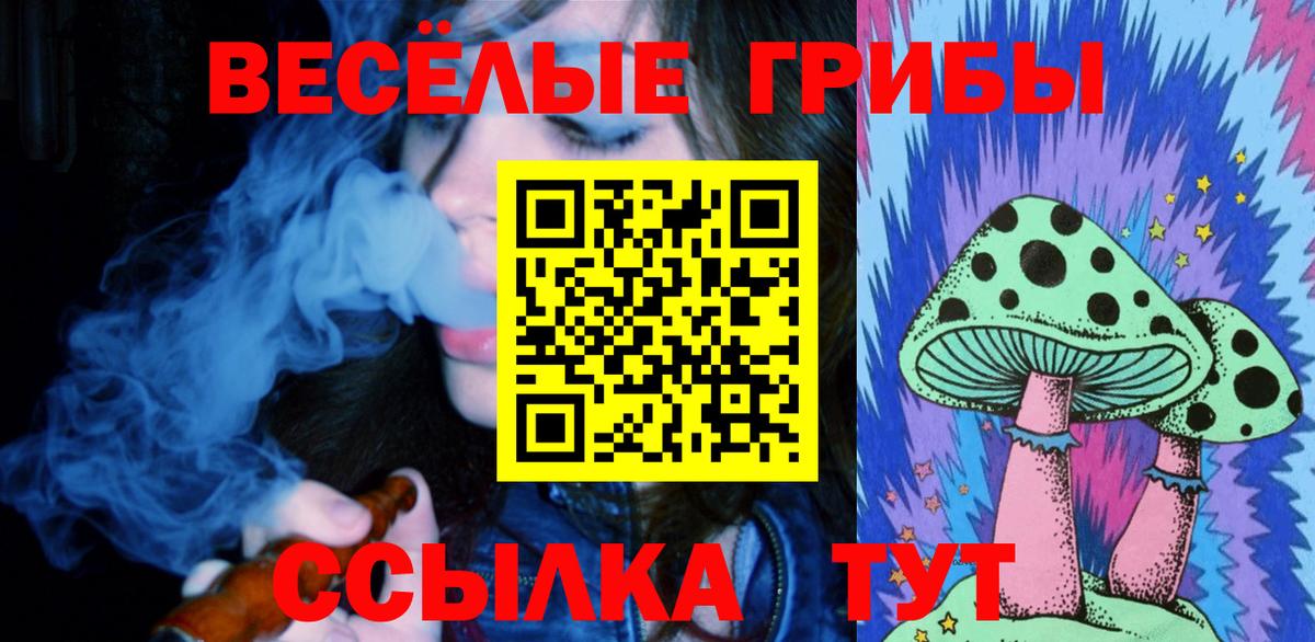 Галлюциногенные грибы Cubensis Аксай