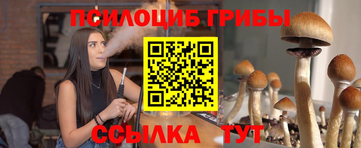 как найти   Галлюциногенные грибы Magic Shrooms  Аксай  Вход с VPN  Псилоцибиновые грибы Psilocybine cubensis 